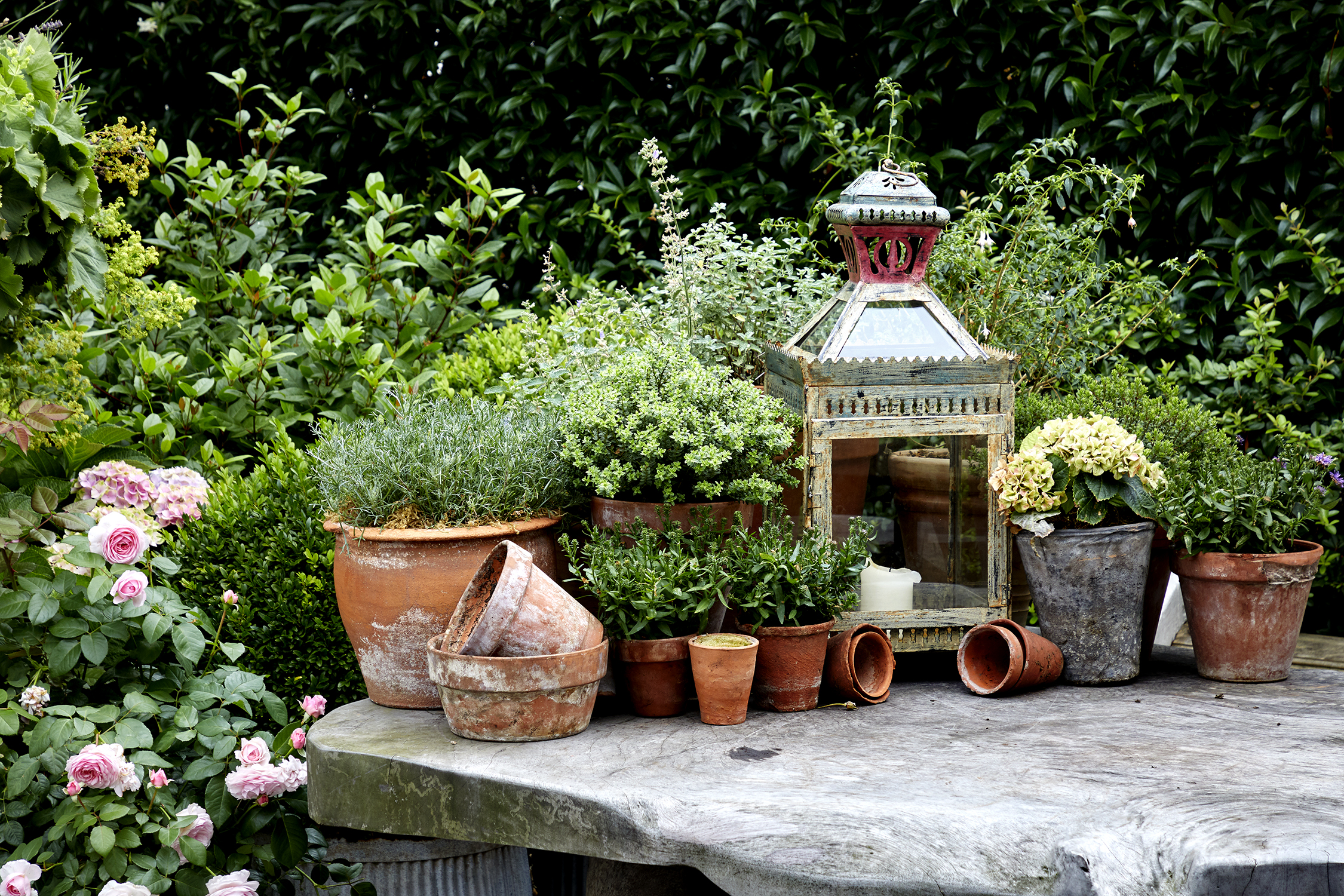 Detailed shot of plant pots on a table of the Roof Terrace at Ham Yard Hotel