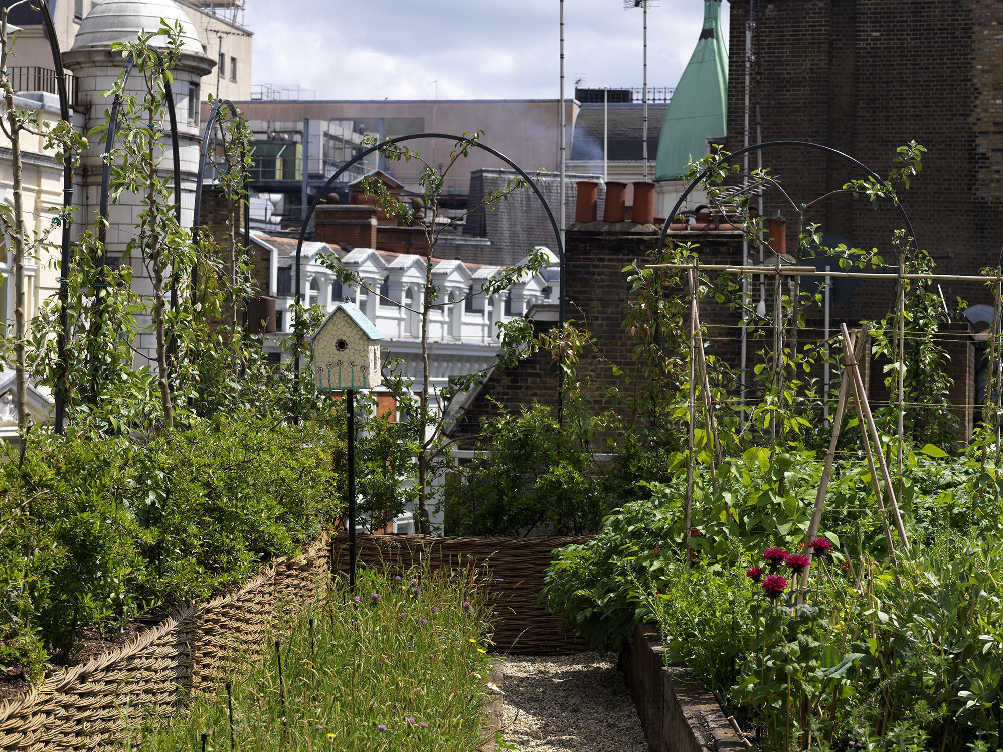 An image of the bird house and the vegetable garden on the roof terrace at Ham Yard Hotel.