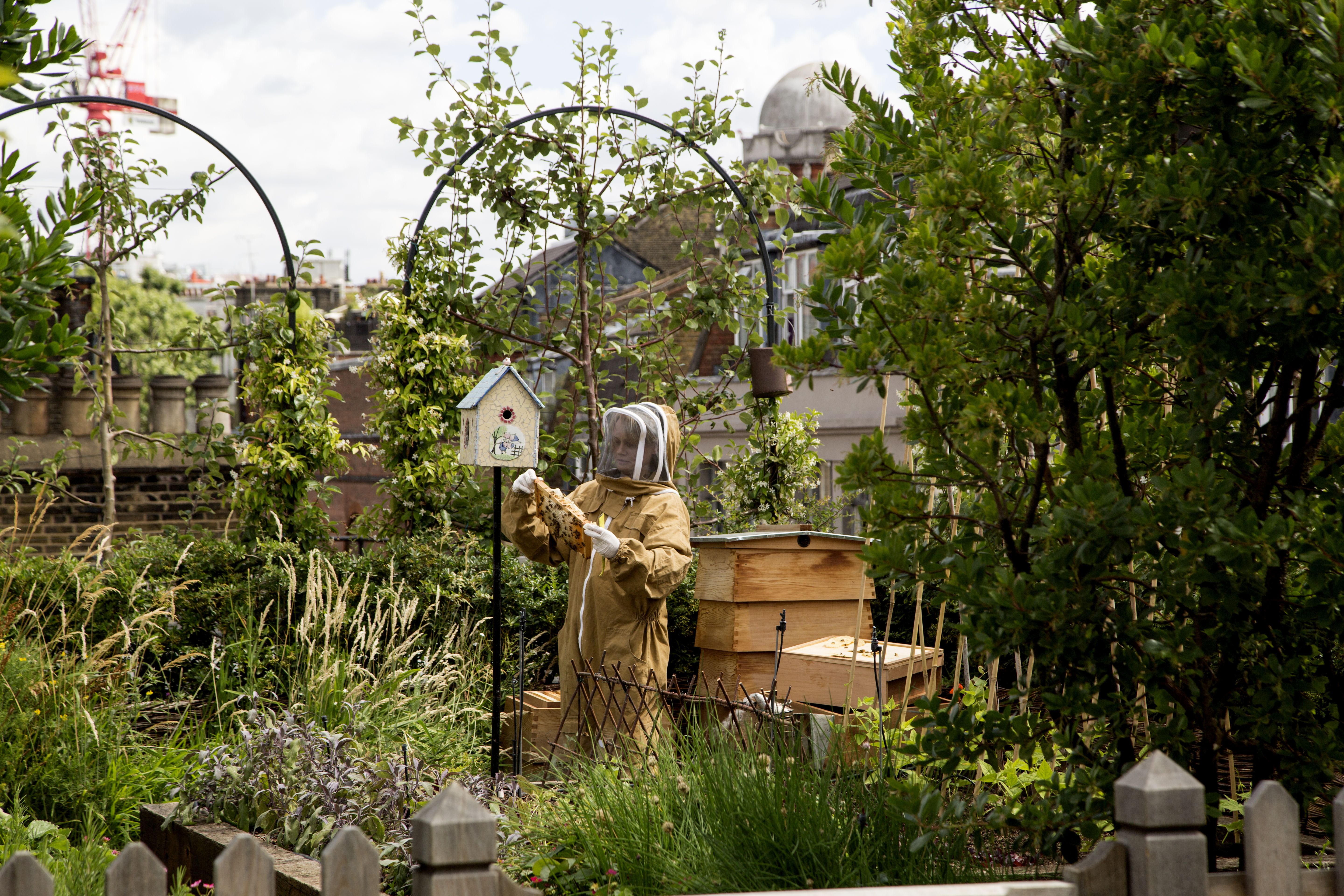 An image of the bee keeper tending to the hive on the roof terrace at Ham Yard Hotel.